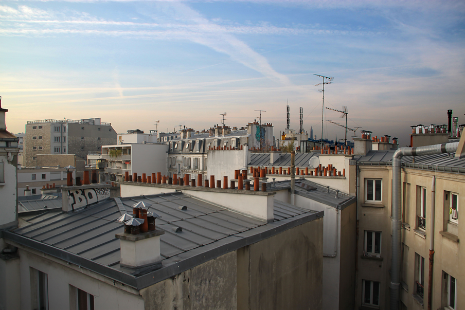 Façade Ouest, vue vers le Sud sur les toits, logements sociaux, Paris, France - Fresh architectes - Photo Vincent Laganier