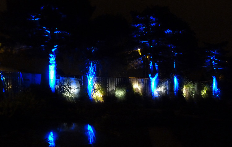 Jardin des Plantes, Nantes 2014 - Pavillon--Photo-Jean-Baptiste-Wallers-Bulot
