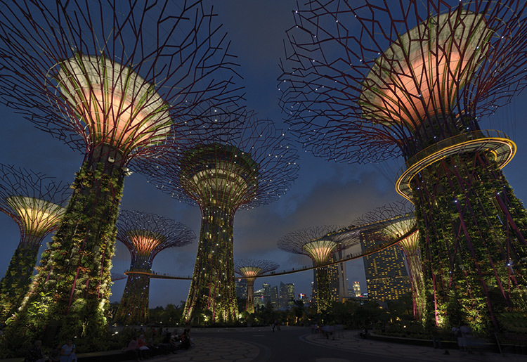 Jardins-de-la-baie-Marina-South-Singapour-2-Prix-de-eclairage-urbain-et-paysager-Lamp-Awards-2013