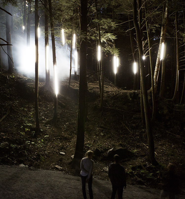 Foresta-Lumina-Parc-de-la-Gorge-Coaticook-Quebec-©-Moment-Factory-10